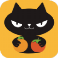橙柿猫app手机版下载 v1.0.0