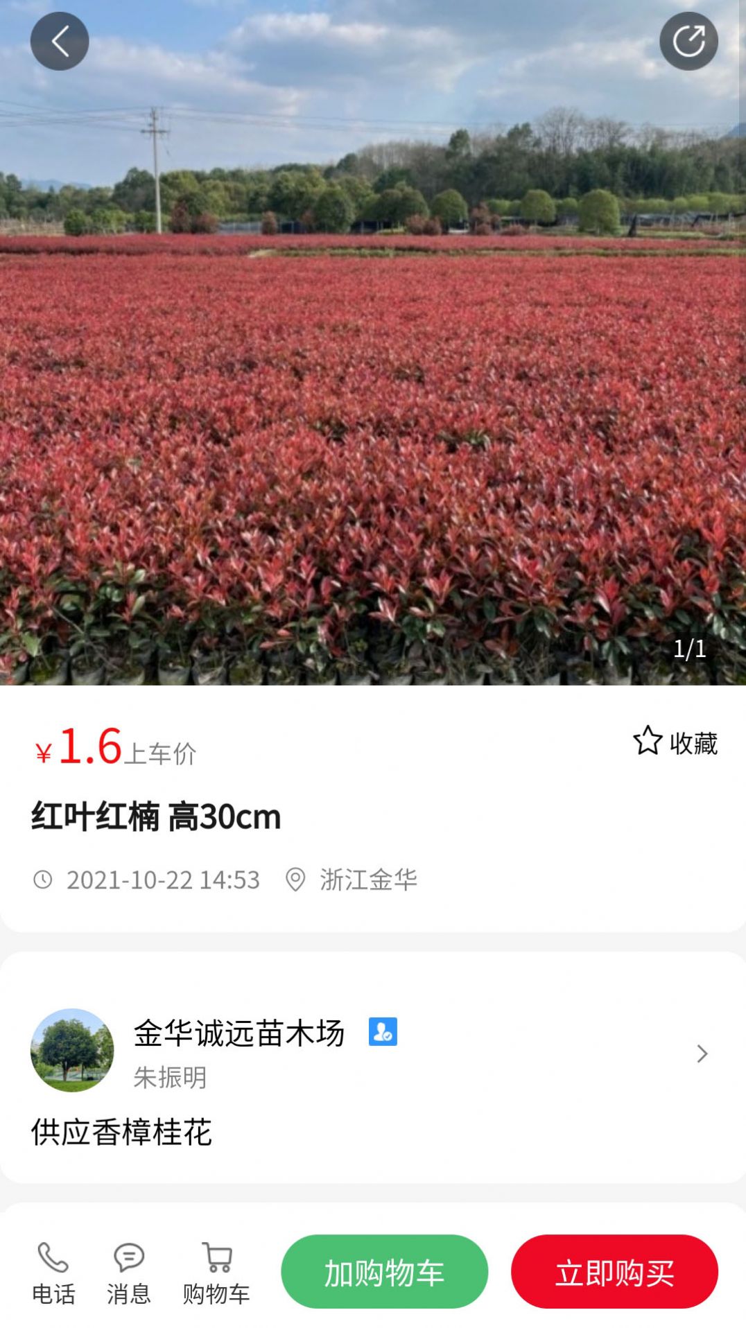 苗青青app图3