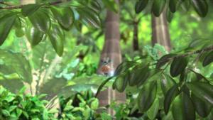 pikmin Bloom AR手游中文正式版图片1