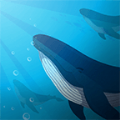 蓝洞鲸鱼计划游戏安卓正版（Project Whale） v1.0.0