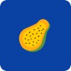 木瓜单词app手机版 v1.0