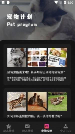 猫咪切换壁纸app图2