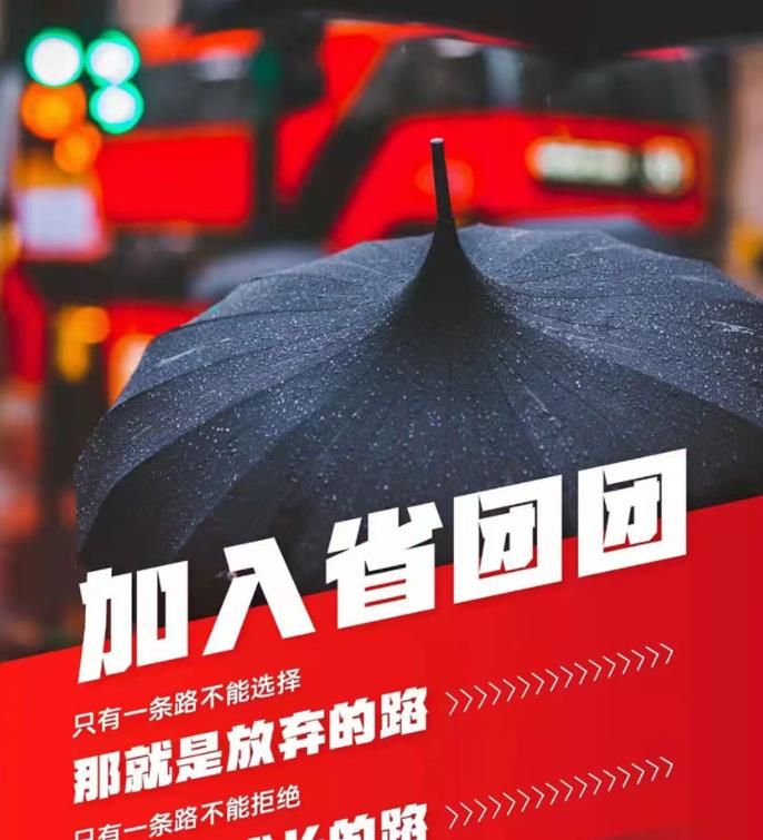 省团团app图2