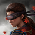 暗影猎人传奇手机版