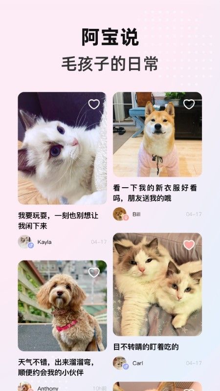 阿宝说宠物社区app手机最新版