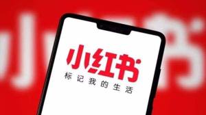 11月29日小红书崩了怎么办？你所访问的页面出了点问题解决方法图片1