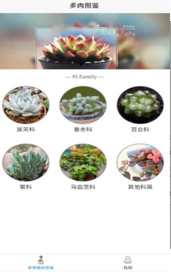 嘟嘟多肉植物鉴app图3