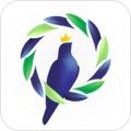 鸽羽林app官方下载苹果ios版 v3.1.5