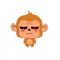 小猴子斗图表情app软件下载 v3.5