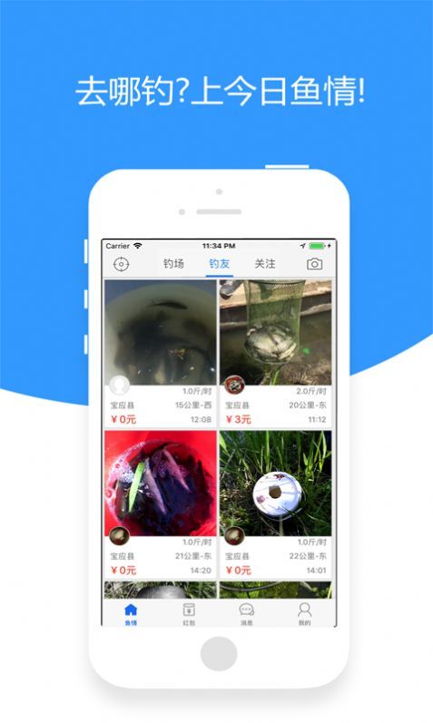 今日鱼情app图2