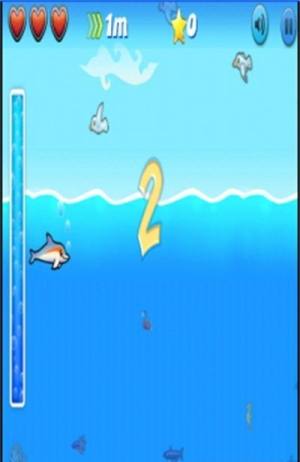 跳跃海豚大冒险游戏图1