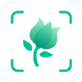拍照识别植物软件app手机版下载 v1.0.0