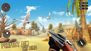 鸟类狩猎模拟器游戏图2