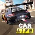 汽车人生开放世界游戏