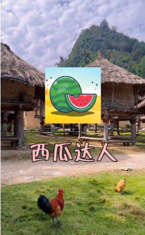 西瓜达人app下载安装最新版图片1