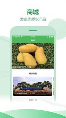海南农垦app图3
