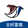 鹄雀
