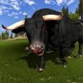 愤怒的公牛攻击捕食者3D游戏