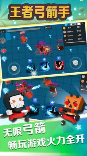 王者弓箭手游戏去广告最新版图片1