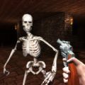 枪战骷髅生存射击3D游戏