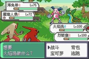 究极绿宝石4.B神战纪念精灵全随机版下载最新完整版图片1