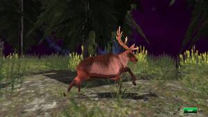 动物世界狩猎游戏图3