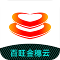 百旺金穗云财税服务平台app下载 v3.1.8