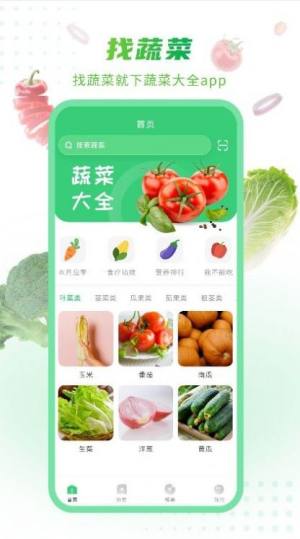 有机蔬菜app图1