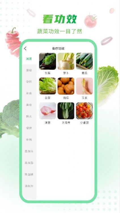 有机蔬菜app图2