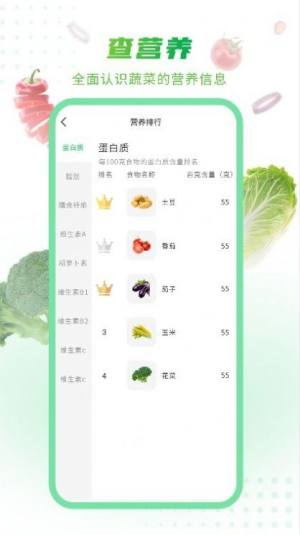 有机蔬菜百科app手机版下载图片1