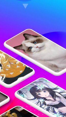 Biu主题壁纸app免费下载最新版图片2