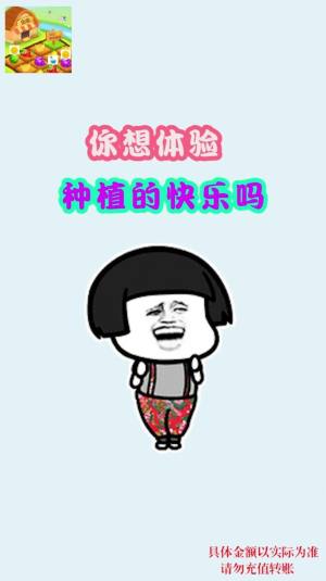 庄园爆爆爆游戏红包福利版图片1