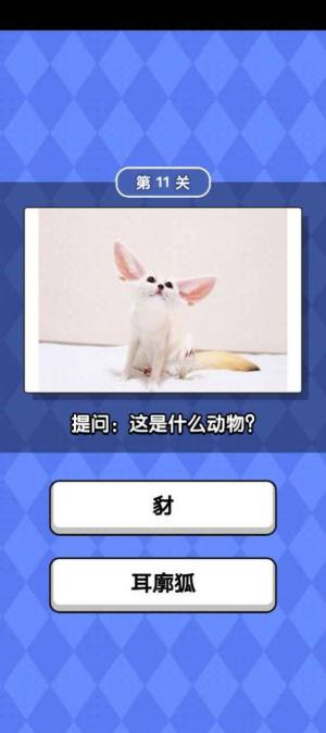 动物滑滑乐游戏领福利红包版图片1