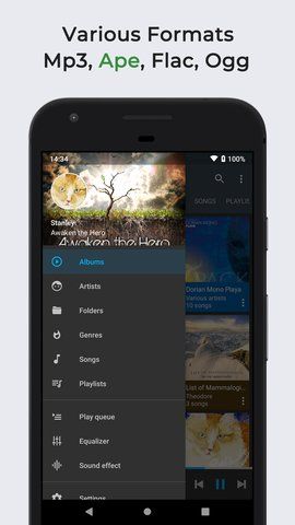 Omnia音乐播放器最新版app官方下载图片1
