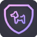加密狗隐私保护app手机版下载 v1.0.8