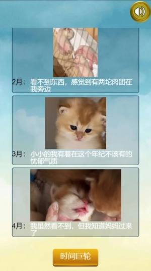 猫的一生重启模拟器游戏下载最新版图片1