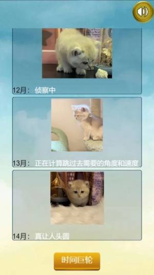 猫的一生重启模拟器游戏下载最新版图片2