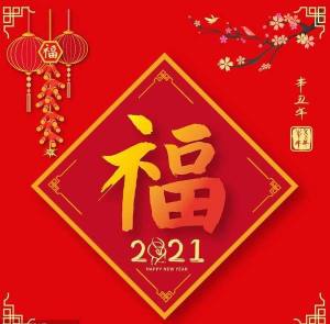 2021支付宝一天集齐五福官方版图3