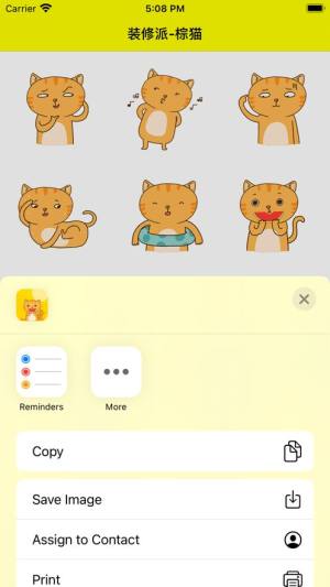 装修派棕猫app图2