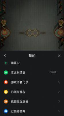 黑鲨游戏服务图2