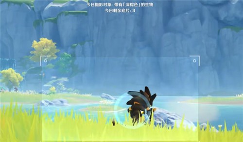 原神福至五彩任务完成攻略大全，5种不同颜色采集物拍摄位置图文汇总[多图]图片11