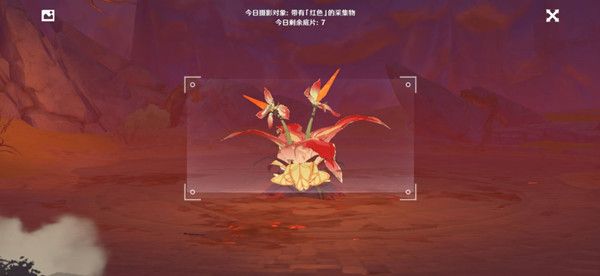 原神福至五彩怎么拍照？留影机拍照操作方法介绍[多图]图片1