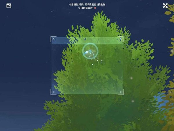 原神带有蓝色的生物在哪里？福至五彩蓝色生物位置汇总[多图]图片14