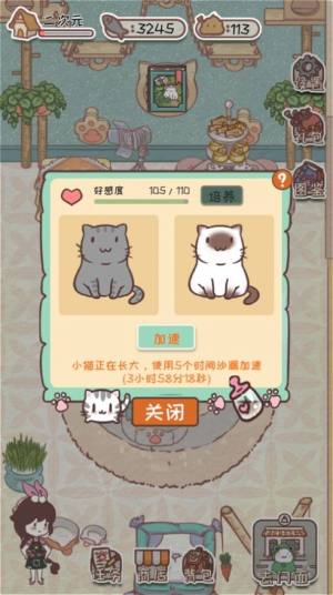 猫舍服装店游戏官方最新版图片1