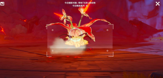 原神2月5日红色生物拍摄位置汇总，福至五彩第三天任务图文攻略[多图]图片9