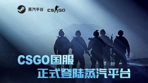 CSGO接入蒸汽平台怎么操作？蒸汽平台账号导入方法详解图片1