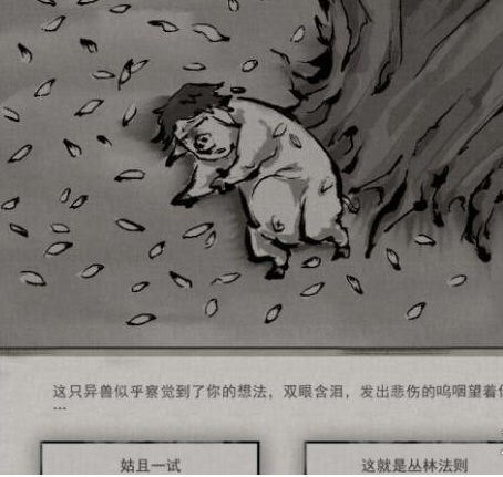 鬼谷八荒奇遇任务怎么完成？全奇遇任务选择推荐攻略大全[多图]图片15