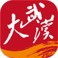 大武汉官方app下载 v7.4.4