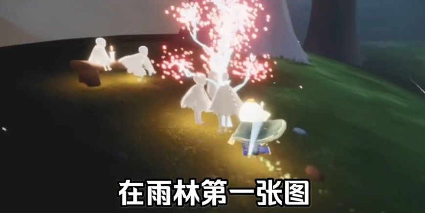 光遇雨林赏花任务攻略大全 在雨林赏一会花任务攻略汇总[多图]