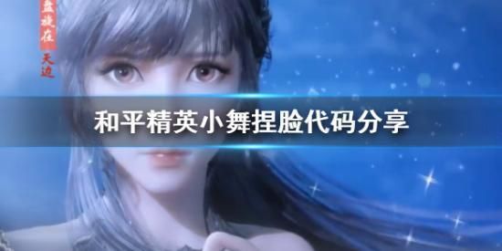 和平精英捏脸代码仙女小舞数据怎么使用？捏脸代码仙女小舞数据介绍[多图]